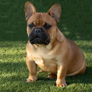 Winston 10-24 (2)